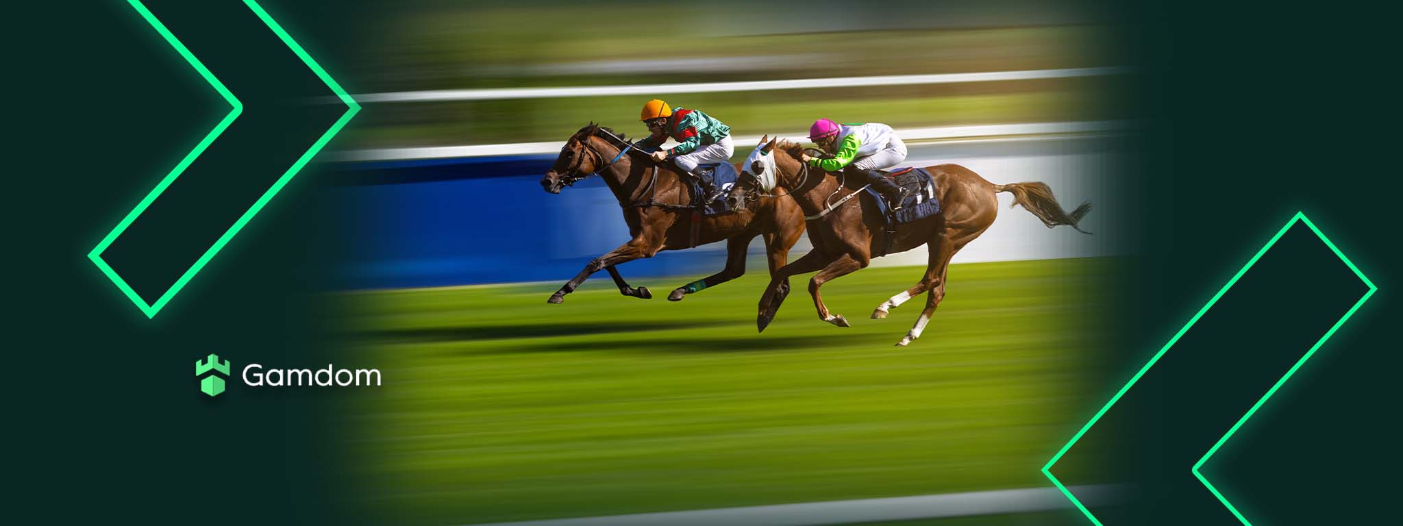 Place bet on horse racing with litecoin (93) 사진