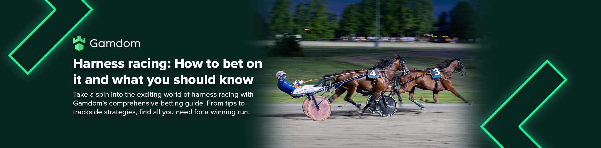 The complete guide on how to bet smart on harness racing