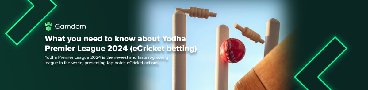 What You Need To Know About Yodha Premier League 2024 what-you-need-to-know-about-yodha-premier-league-2024