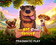 The Big Dog House